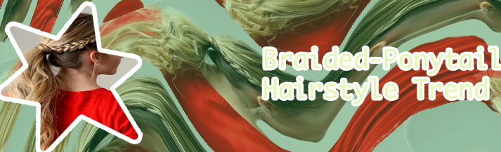 Braided ponytail styles